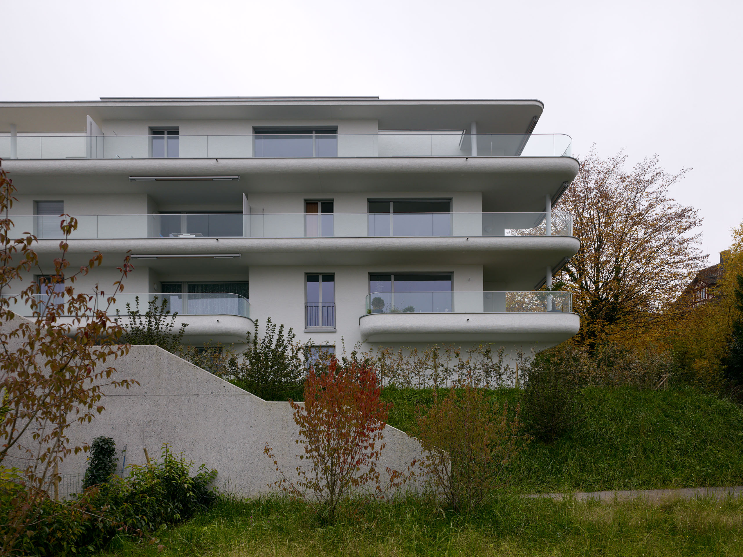 E11352 Alpa 030326 j2560